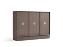 Fumiyo 3-Door Shoe Cabinet
