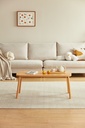 Madeline Single-Layer Coffee Table