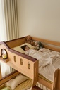 Kleo Bunk Bed with Bookshelf