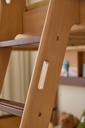 Kleo Bunk Bed with Bookshelf