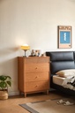 Nalo Wood Melamine Cabinet 