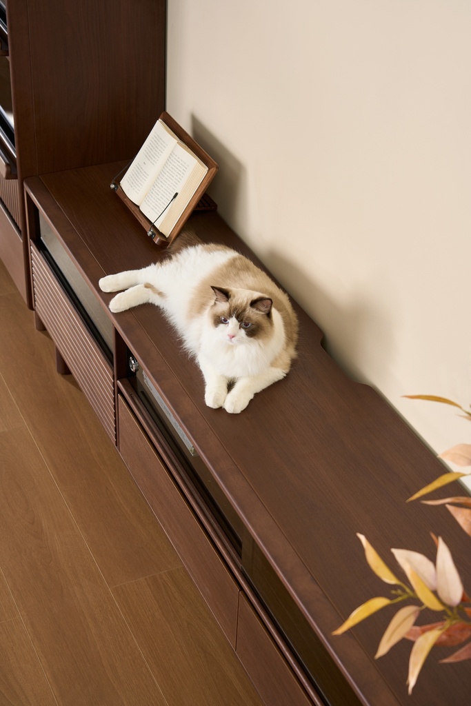 Amira Walnut TV Stand