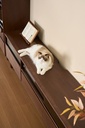 Amira Walnut TV Stand
