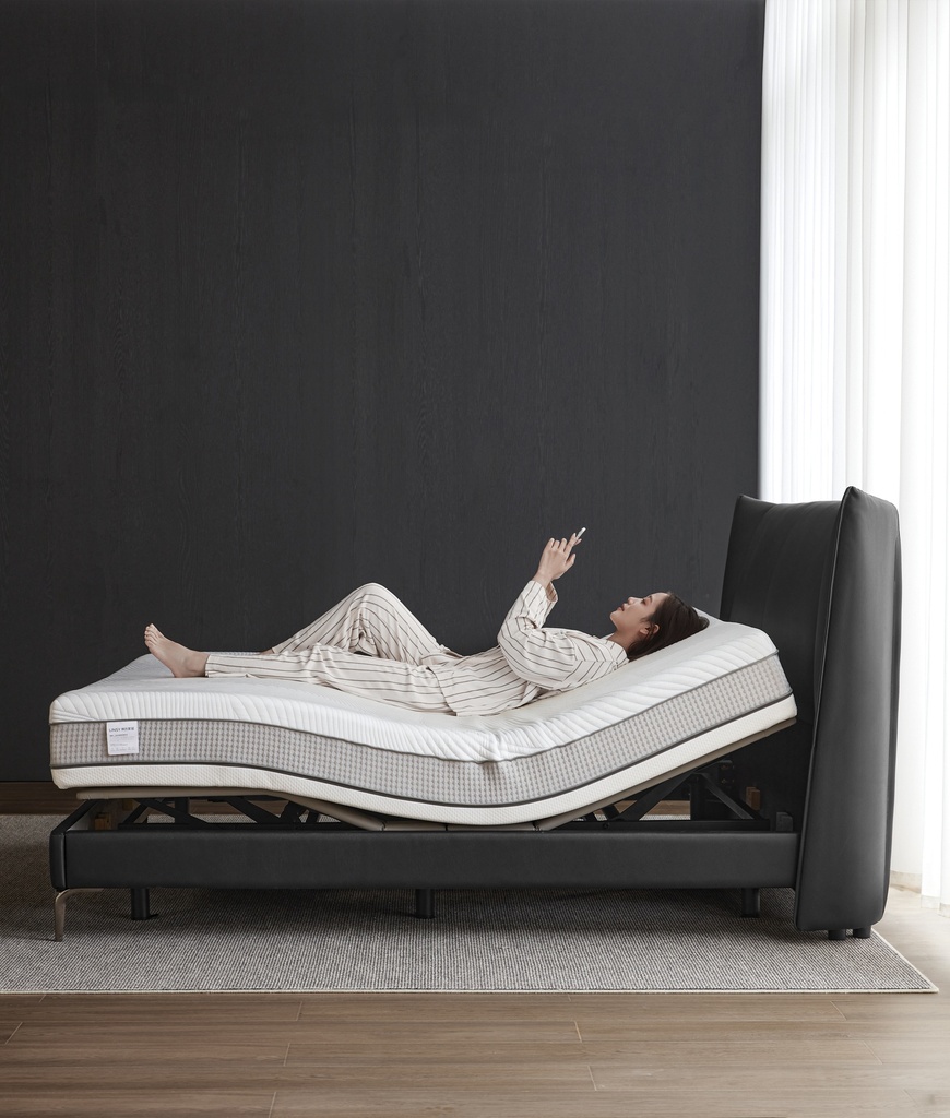 Baffin Electric Bed