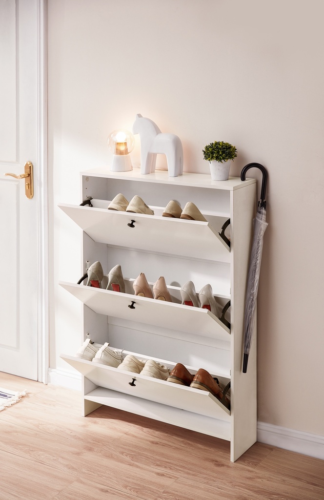 Arissa 3-Door Shoe Cabinet