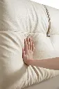 TV2A-A-普通床 (9).webp