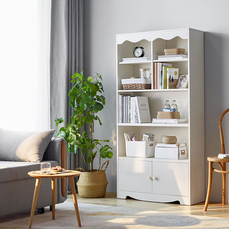 Elon Book Shelf