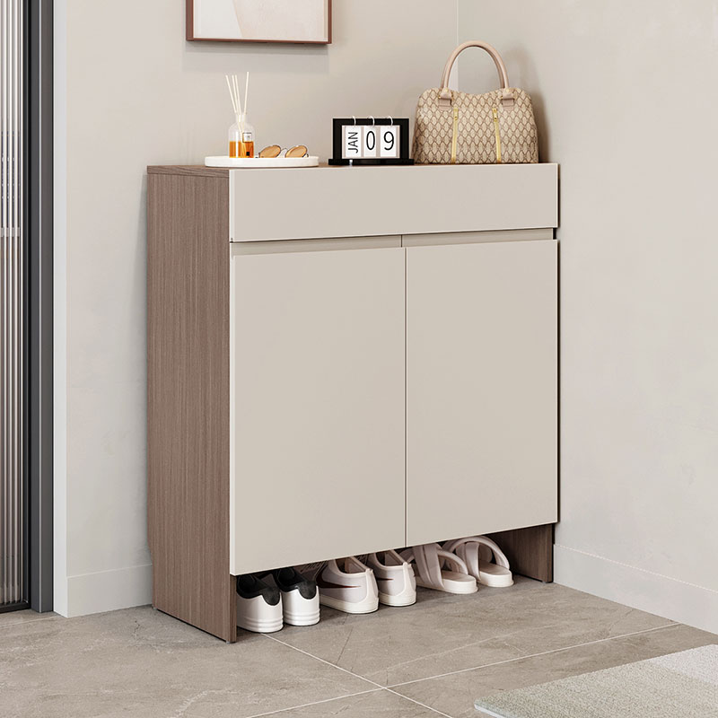 Fumiyo 2-Door Shoe Cabinet