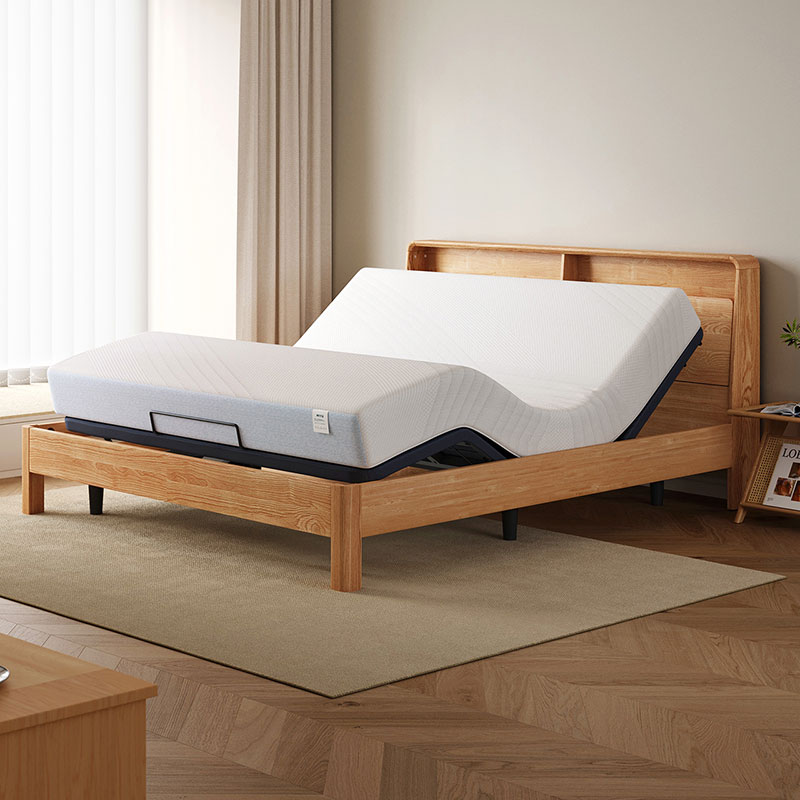 Delta Electric Bed