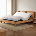 Delta Electric Bed
