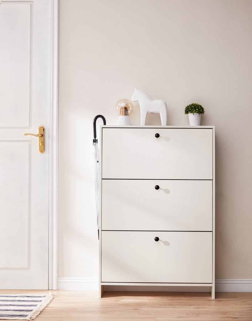 Arissa 3-Door Shoe Cabinet