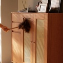 Dylan Shoe Cabinet