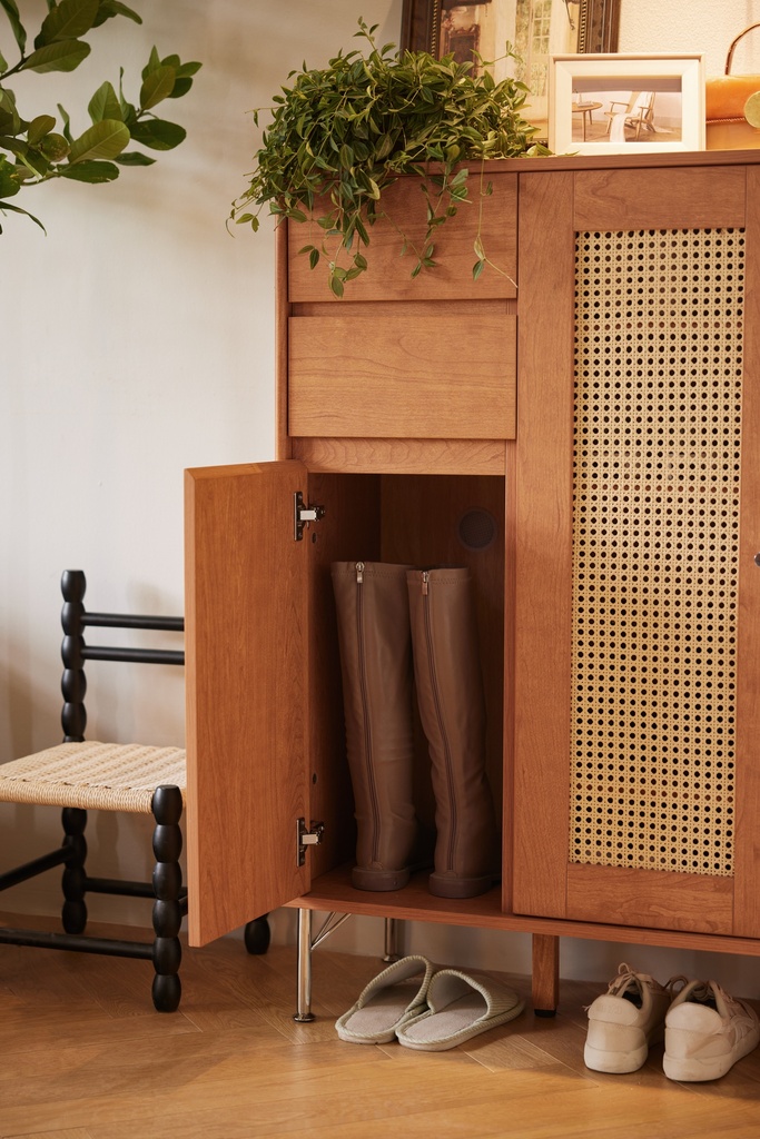 Dylan Shoe Cabinet