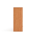 Elwin Book Cabinet