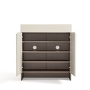 Fumiyo 2-Door Shoe Cabinet