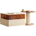 Evanora Coffee Table