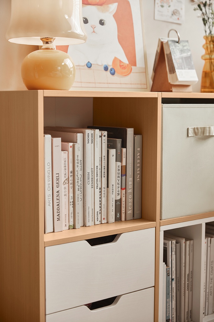 Cassie 2-Layer Bookshelf