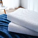 G1CSB013-÷˜Õº-≤®¿À–Õ»ÈΩ∫’Ì-(5).webp