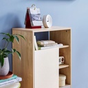 Ezreel Cabinet