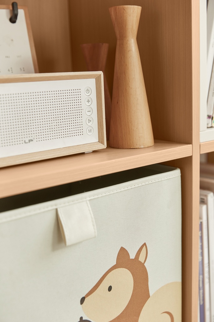 Cassie 5-Layer Bookshelf