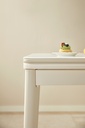 Montana Folding Dining Table
