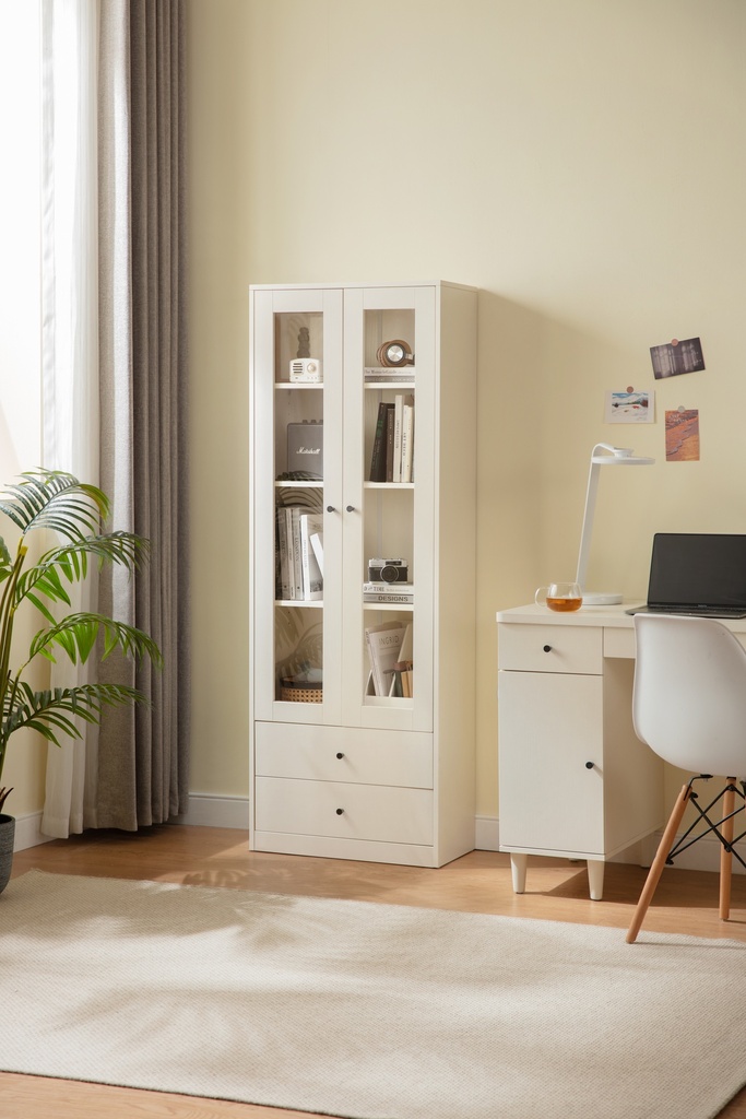 Paris Bookshelf