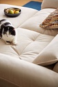 Nilo Sofa Bed
