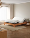 Delta Electric Bed