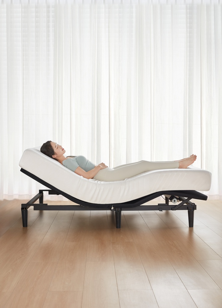 Delta Electric Bed