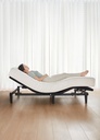 Delta Electric Bed