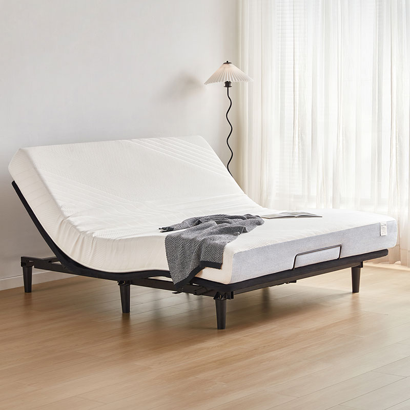 Delta Electric Bed
