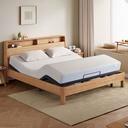 Delta Electric Bed