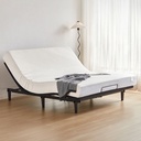 Delta Electric Bed
