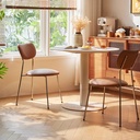 Delany Dining Chair (2 pcs)