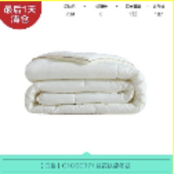 Winter Quilt - White