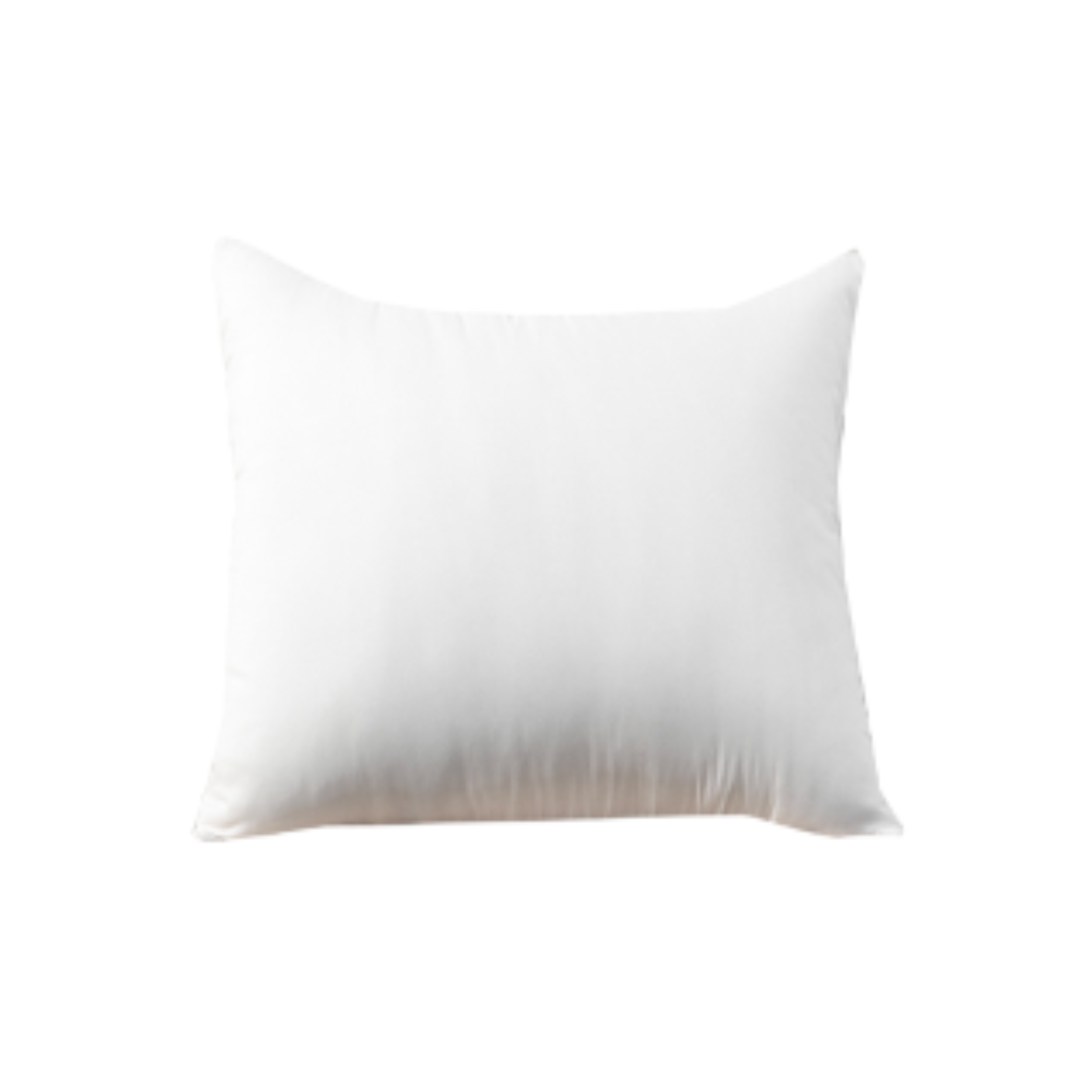 [LSG0051CS012B001] Pillow
