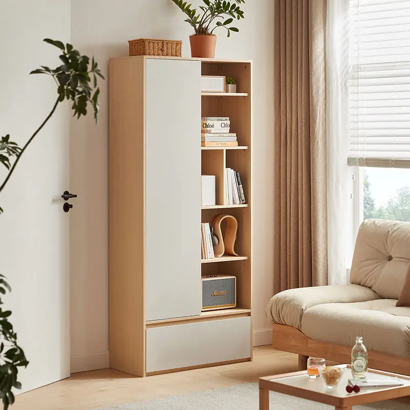 [OV1X-C] Cesar Book Shelf